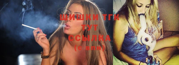 тгк Елизово