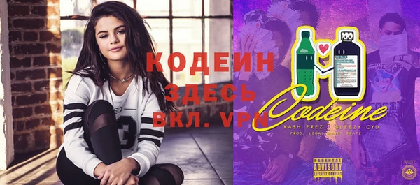 тгк Елизово