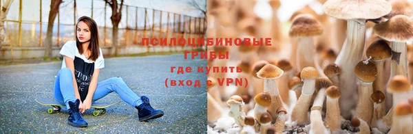 таблы Дмитровск