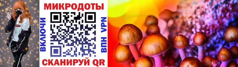 Галлюциногенные грибы мицелий  omg как войти  Иланский 